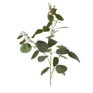 Eucalyptus Seed Spray Medium Green Grey Pack of 4