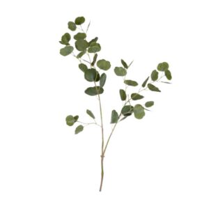 Eucalyptus Soft Touch Large Green Pack of 4