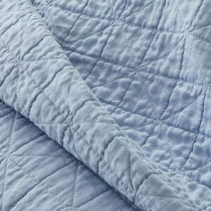 Renee Queen King Coverlet Sky Blue