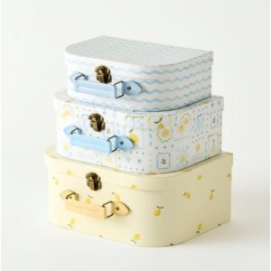 Lemons Decorator 3 piece suitcases