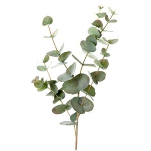 Artificial Plant Eucalyptus (Pack of 4)