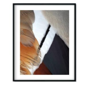 Feather Edge Artwork