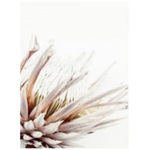 The King I Artwork (Oak Frame)