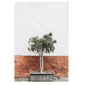 Terracotta Wall Artwork (Oak Frame)