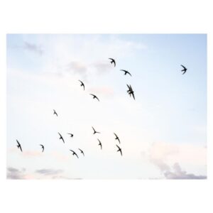 Flock Of Birds Artwork (Oak Frame)