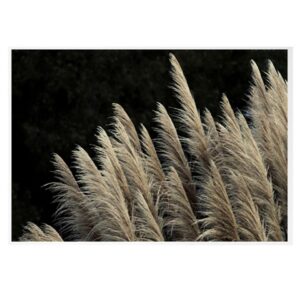 Gold Pampas Artwork (White Frame)