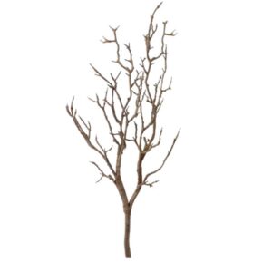 Branch Large Natural Pack of 3