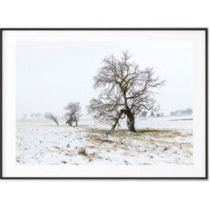 Country Snow Artwork Black Frame