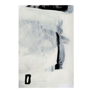 Decoy 2 Oak Box Frame Canvas Artwork