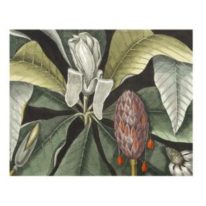 Magnolia Black Frame Artwork