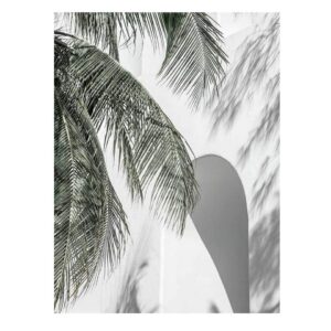 Palm Shadows Oak Box Frame Canvas Artwork