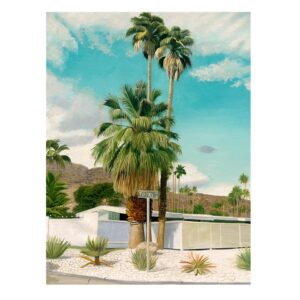 Topaz St Oak Box Frame Canvas Artwork