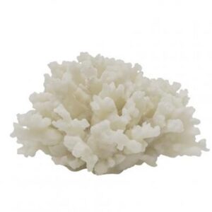 Coral Decor White Small