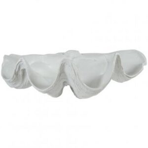 Clam Shell Small Decor White