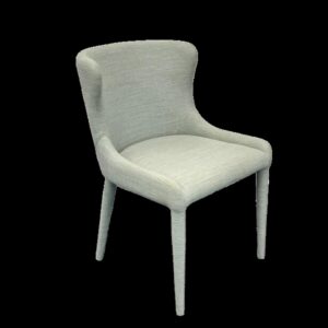 Remy Dining Chair Chameleon