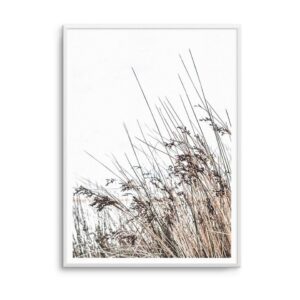 The Coast Artwork White Frame