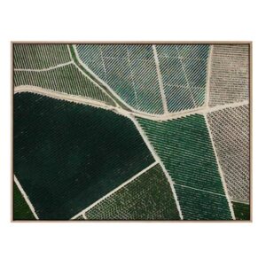Field of Dreams Oak Box Frame Canvas Artwork