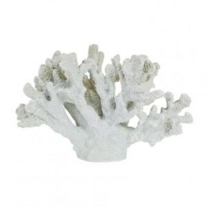 Coral Decor White Large