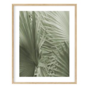 Palm II Artwork