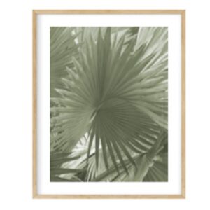 Palm I Artwork