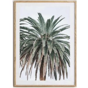 Jungle Palm II Artwork (Oak frame)