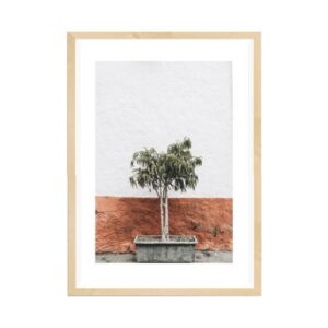 Terracotta Wall Artwork (Oak Frame)