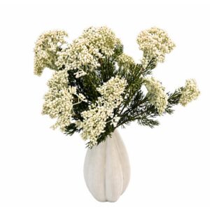 White Berry Spray Stems 5 Pack No Vase Green
