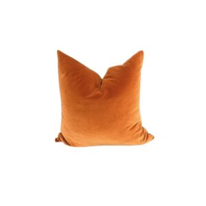 Terracotta Velvet Cushion